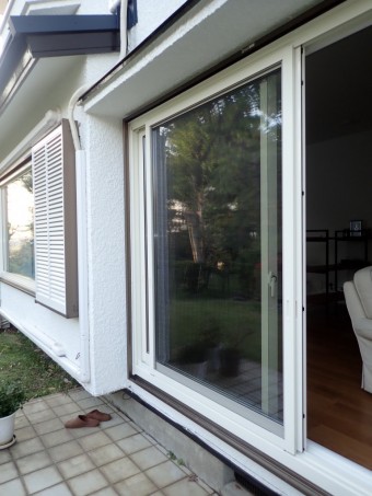 P4100067-e1714556030116